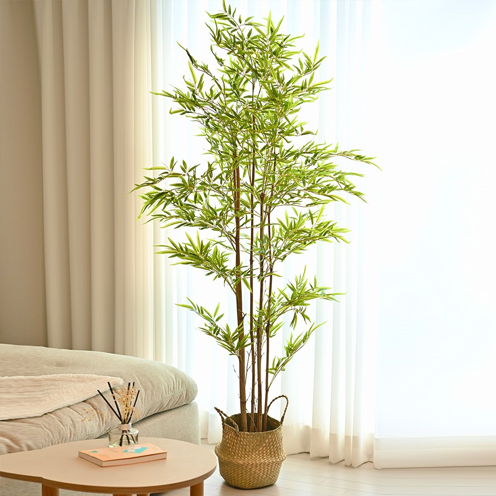 아르띠콜로 인조 대나무화분+해초바구니세트, 1개, 그린 180cm 75,800원