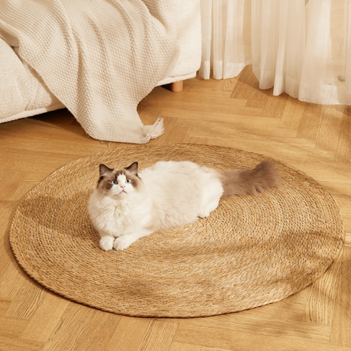 퐁당캣 에코 스크래쳐 방석 15,000원