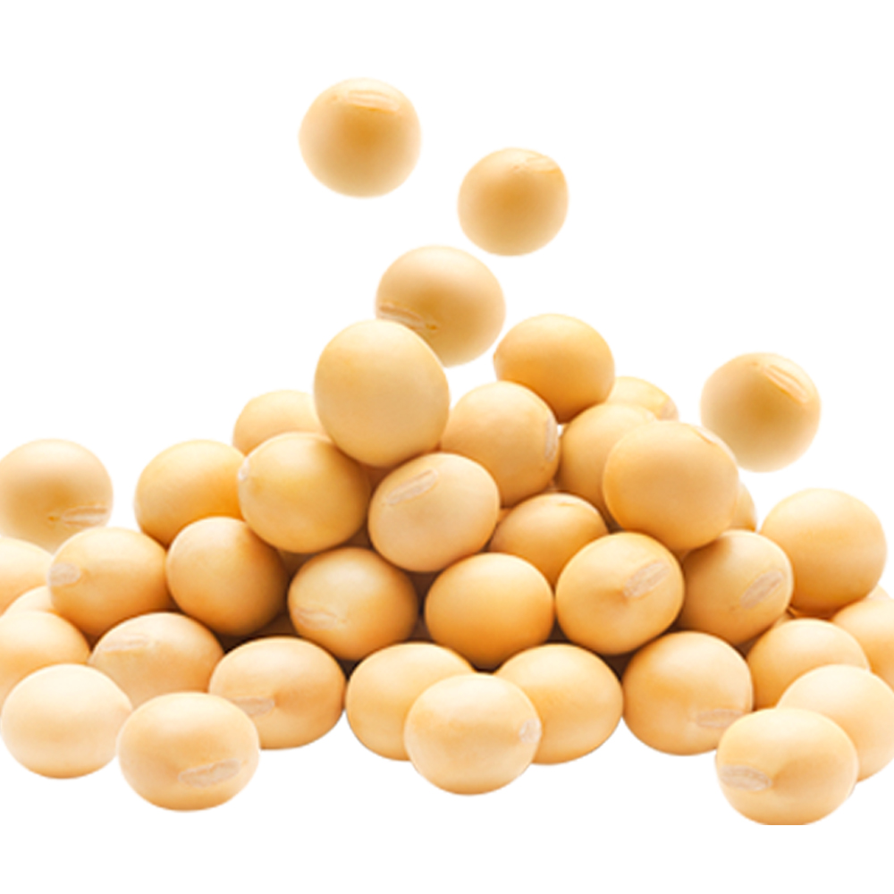 백태 수입콩(미국산) 4.5kg 수입산 원적외선 빛살균 살균한콩 백태 메주콩/콩국수콩/두부콩 18,900원