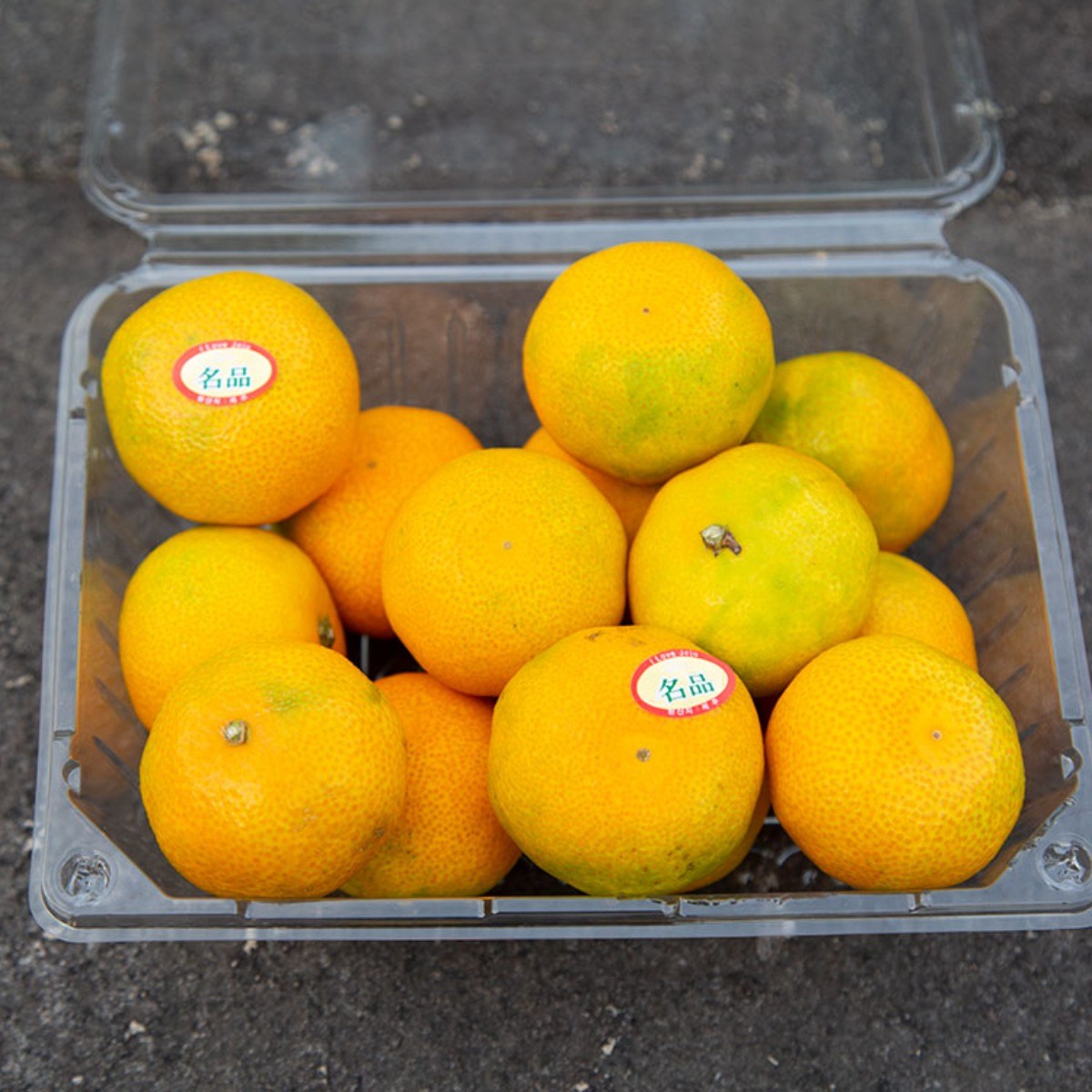 농협상품 하우스 밀감 감귤 제주 타이백 비가림 중과 10,900원