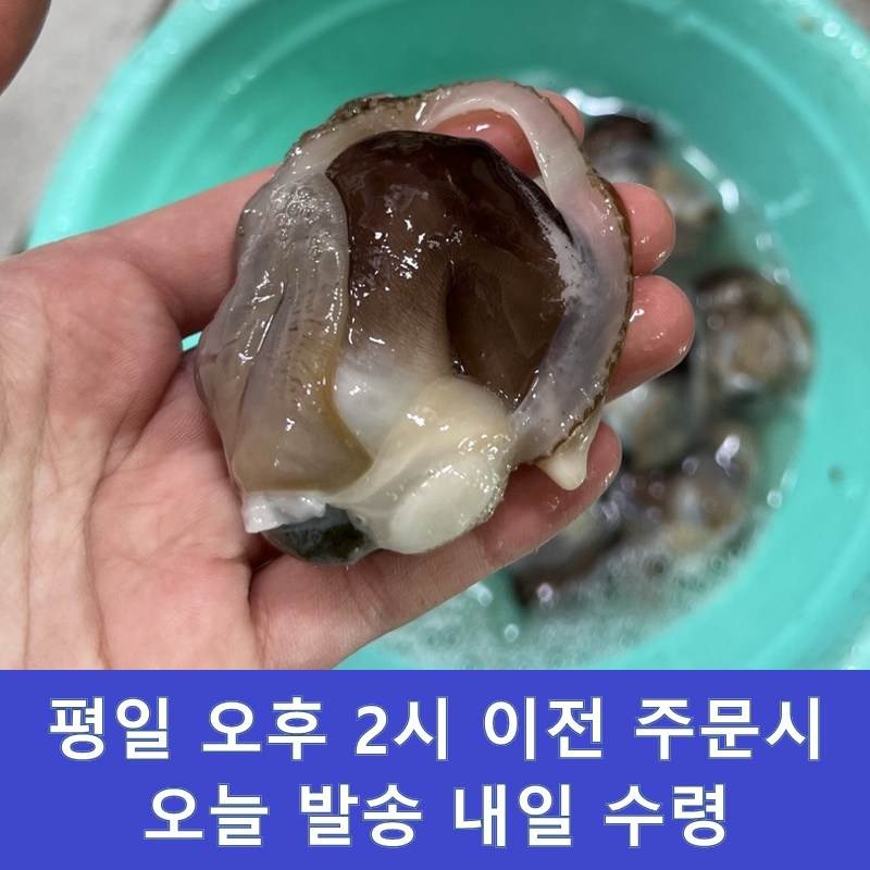 [생물] 완전손질 여수 새조개 순살 초코새조개 21,800원