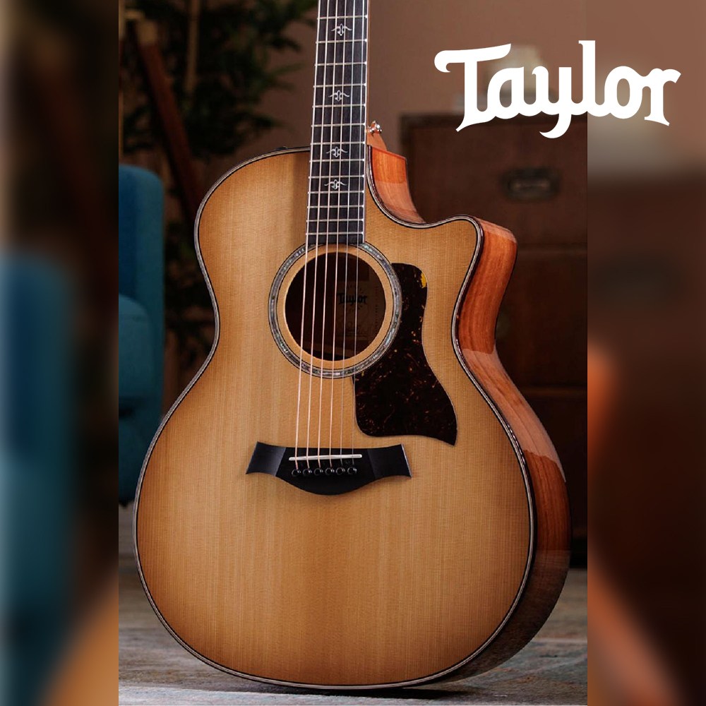 테일러 514ce 아이언바크 올솔리드 GA바디 통기타 5,830,000원