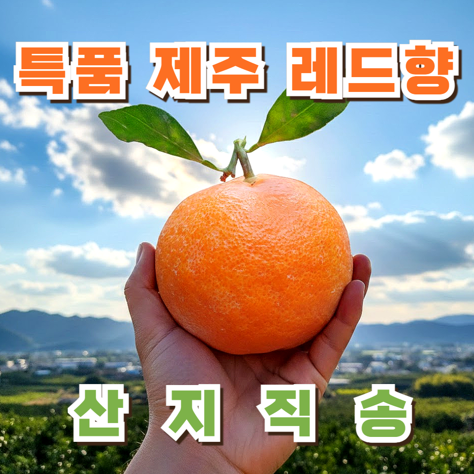 [최대17brix 초고당도] 프루티 산지직송 초고당도 프리미엄 레드향 52,900원