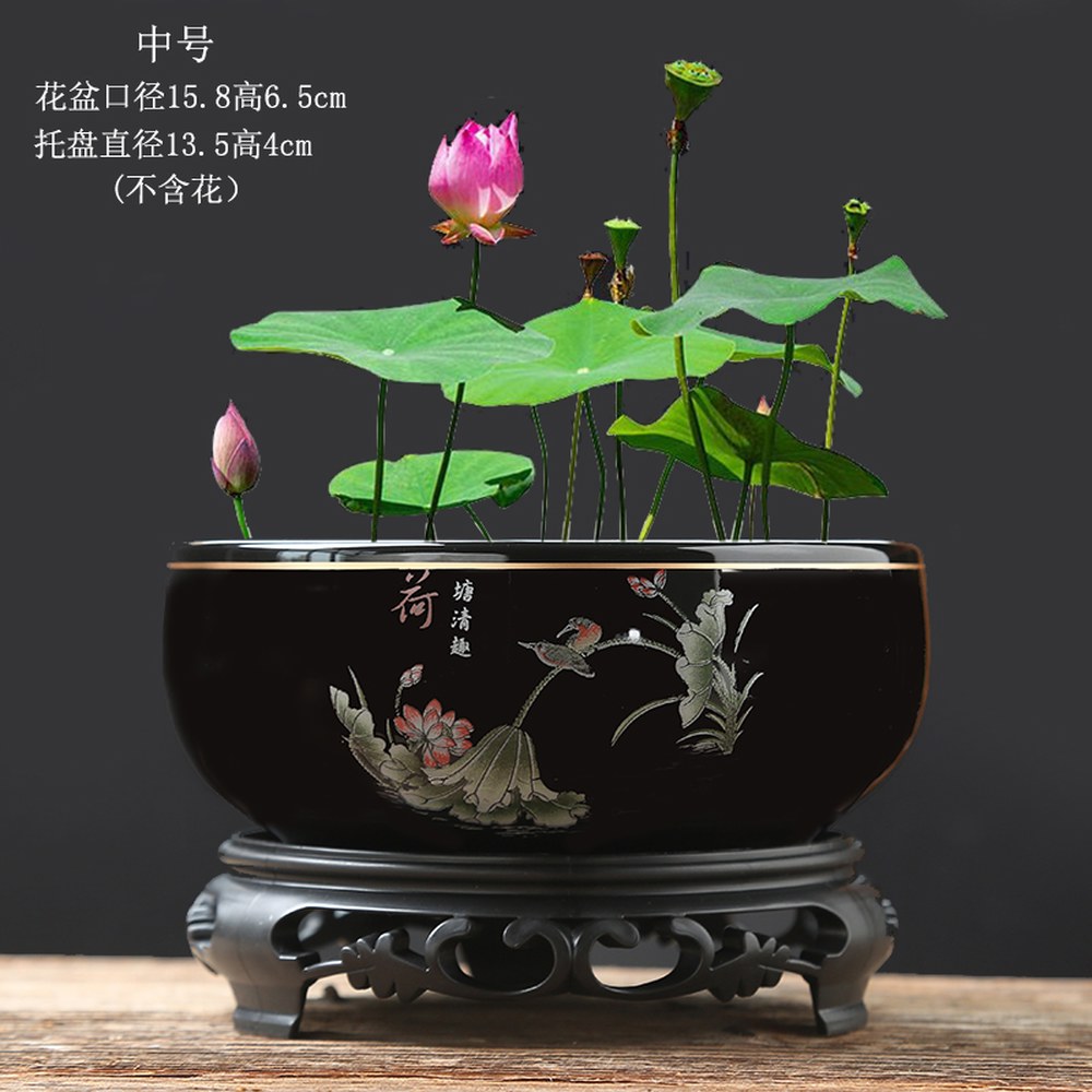 관상용 수반연꽃 미니연꽃키우기 수생식물 물확 도예 물고기연못 연꽃키우기 장식 돌물확 분수 18,900원