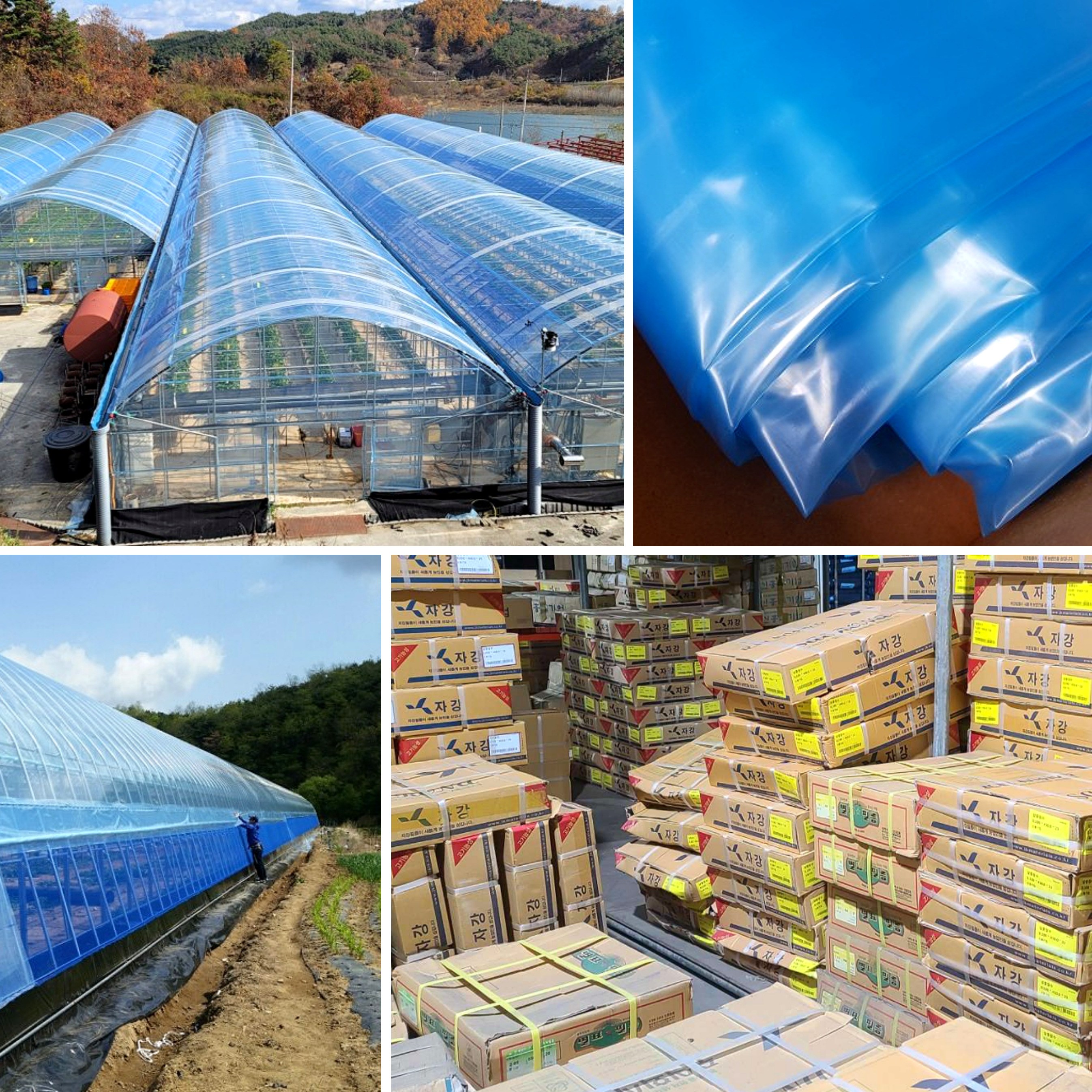 비닐하우스 장수비닐 자강 별표, 1개 258,500원