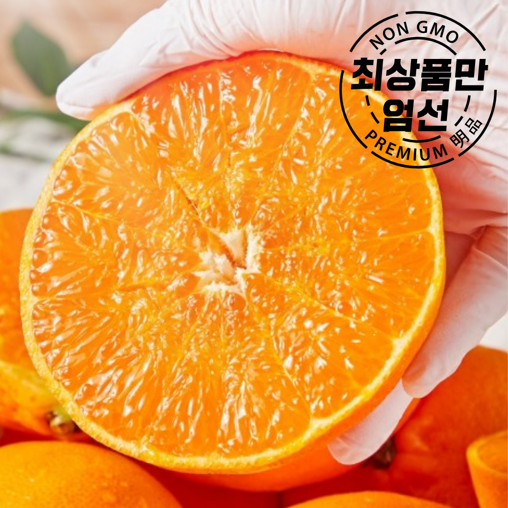 소비자만족1위 제주직송 고당도 명품 천혜향, 1세트, 중과 10kg 80,900원