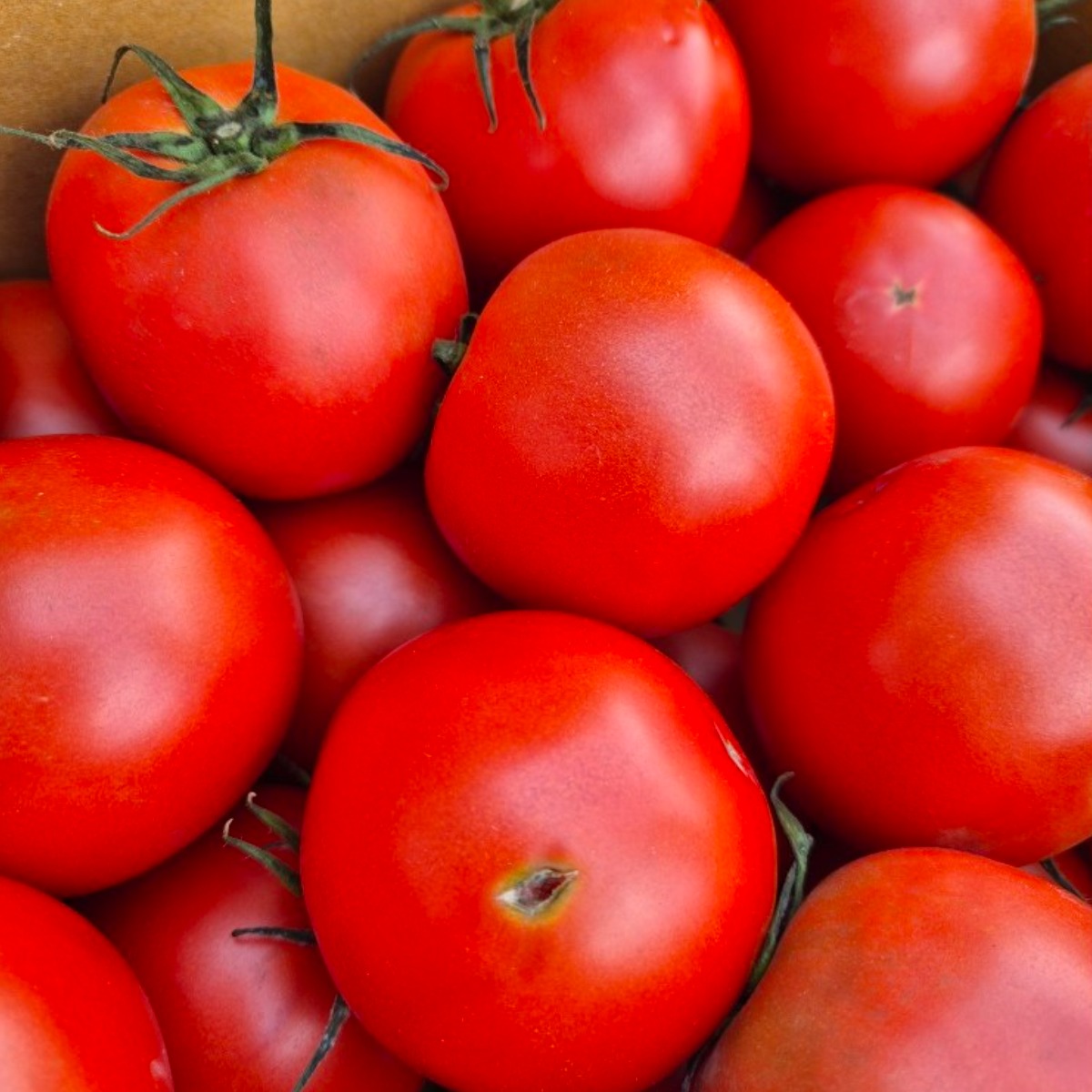 스마트마토 완숙토마토 산지직송 유럽종 5kg 스마트팜 연중생산, 1박스, 5kg 랜덤(못난이) 35,900원