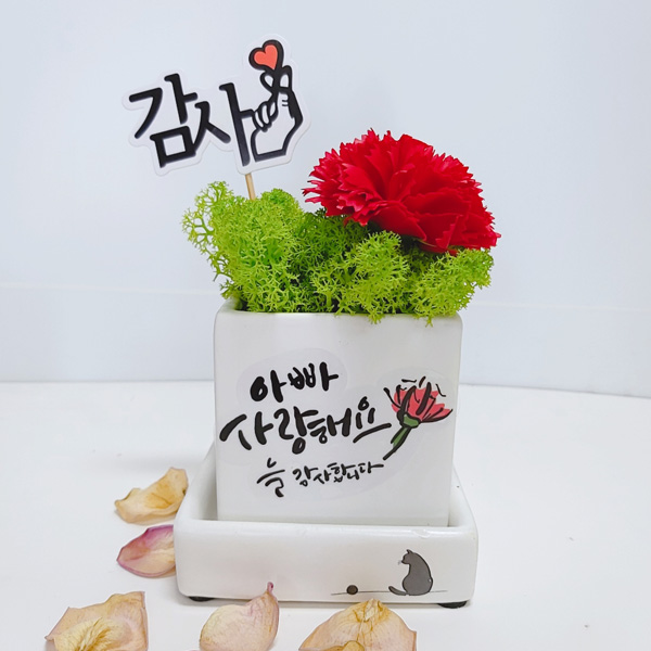스마일컴퍼니 감사 캘리그라피 모스 화분선물세트 12,900원