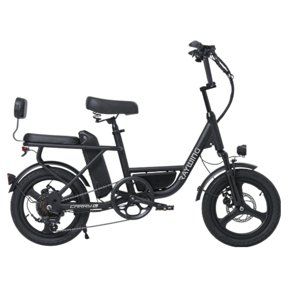 레이윙 캐리 라이트 컴팩트 전기자전거 삼성셀 배터리 20Ah 고객직접설치, 팬텀블랙, 스틸 1,170,000원