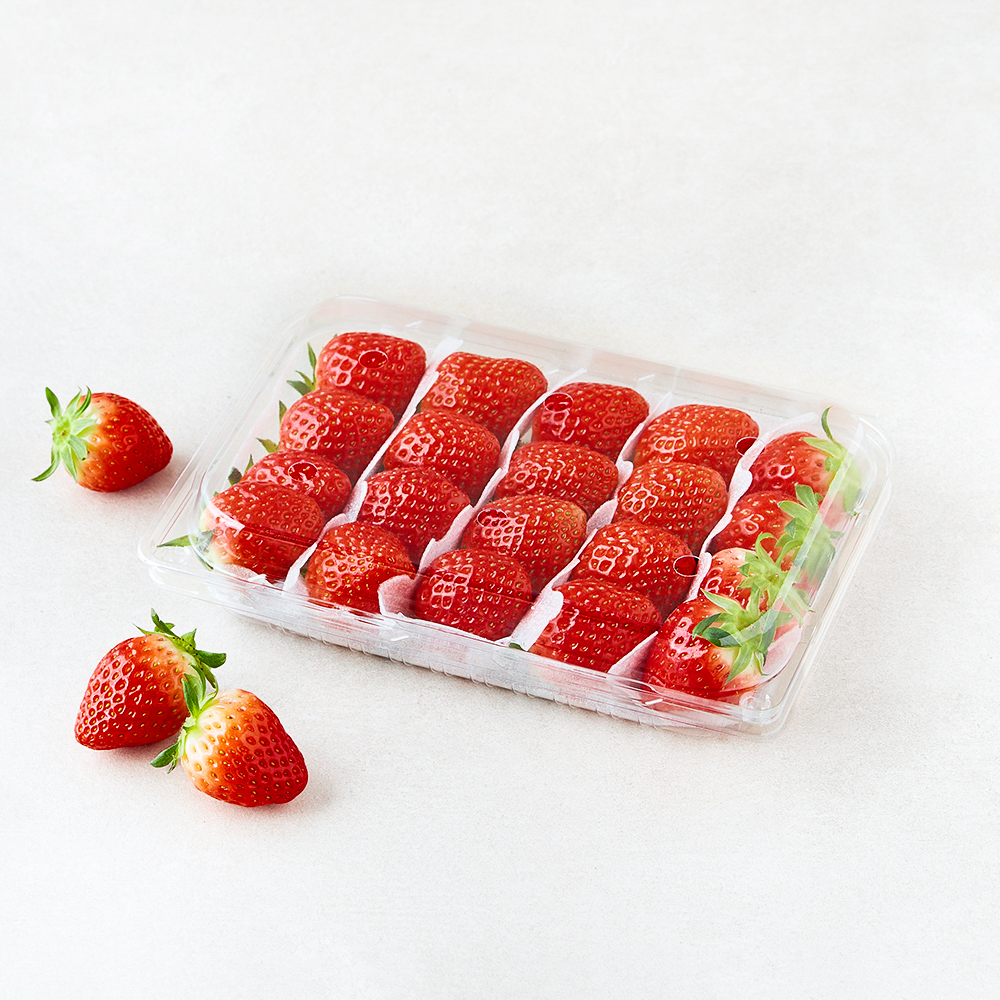 곰곰 설향딸기 5,990원