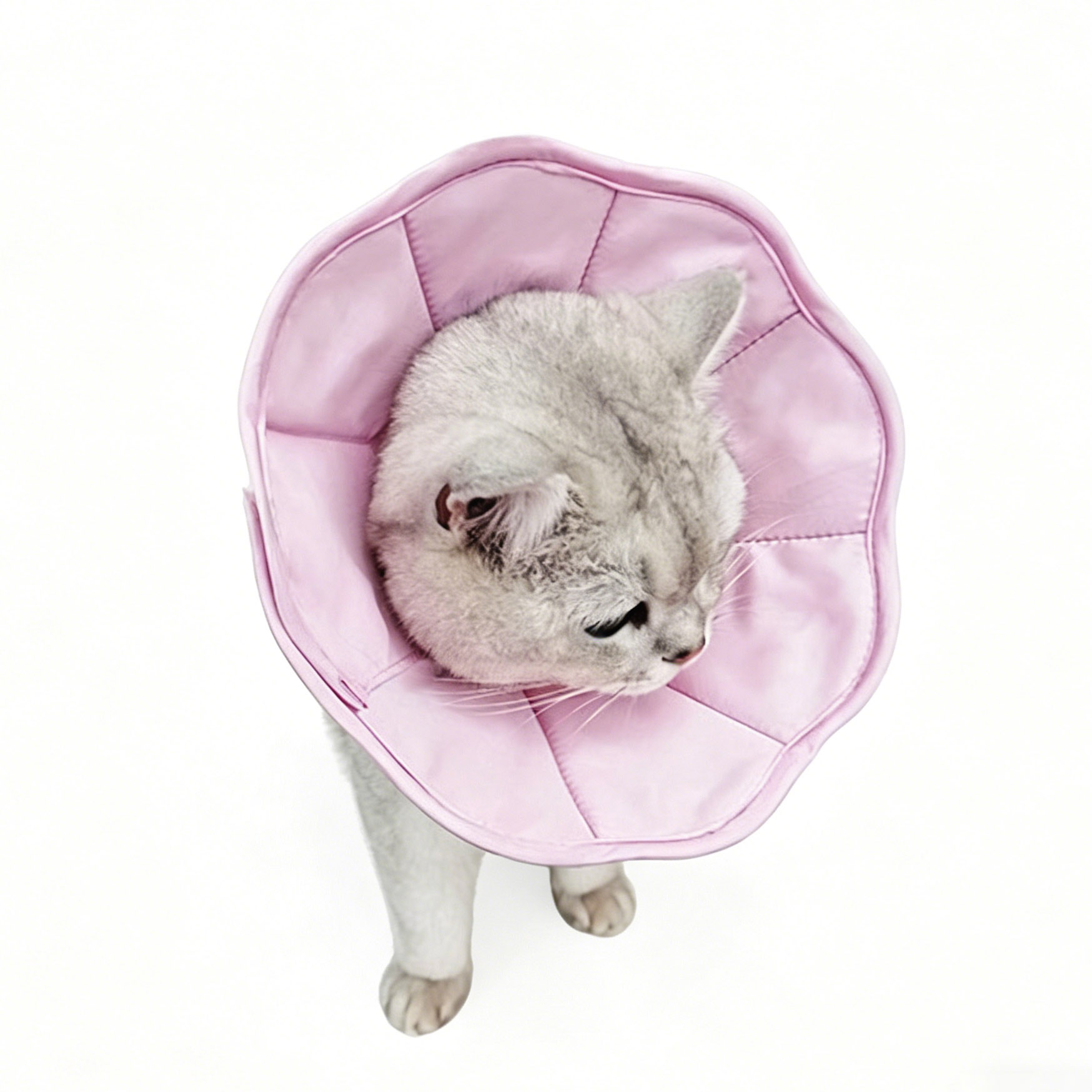 모즈펫 마카롱 반려동물 넥카라 중성화 수술 핥기 방지, 1개, 분홍색 15,900원