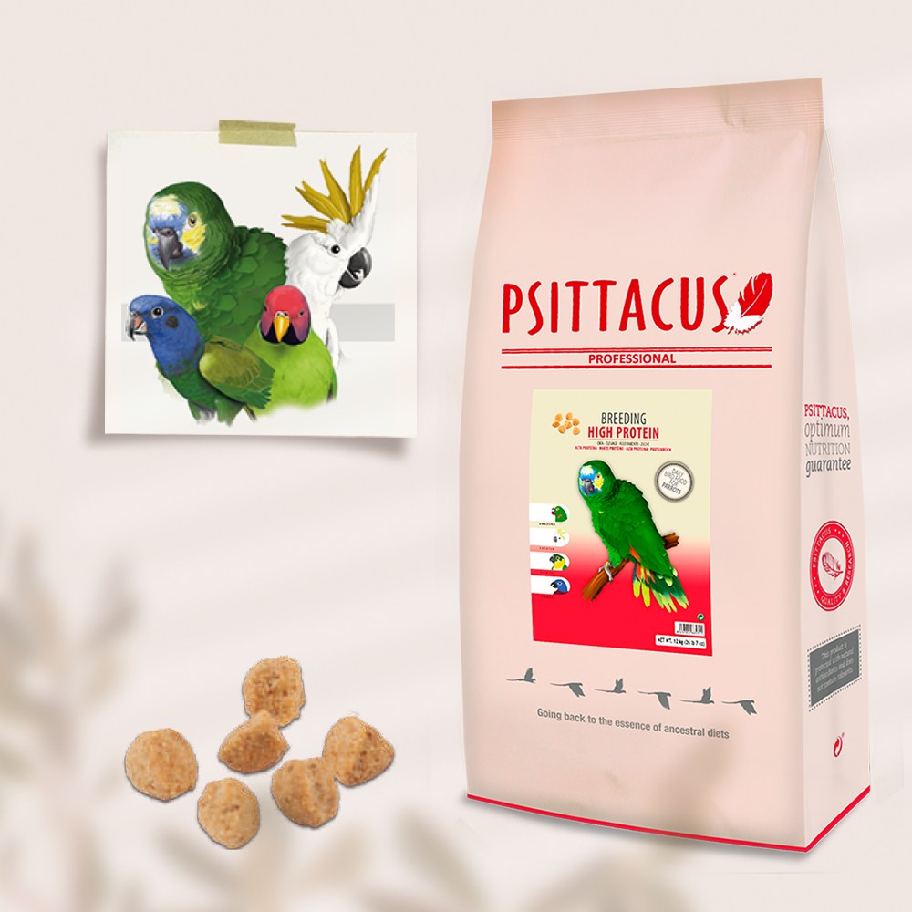 프시타쿠스 하이프로틴 브리딩 12kg 피타쿠스 앵무새 사료 PSITTACUS, 12kg, 1개 240,000원