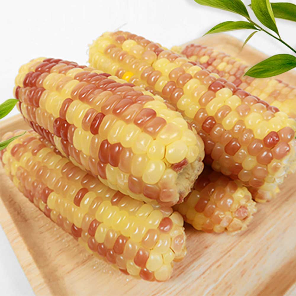 유명한 옥수수 홍찰 쫀득한 찰옥수수 냉동 옥수수 12,780원