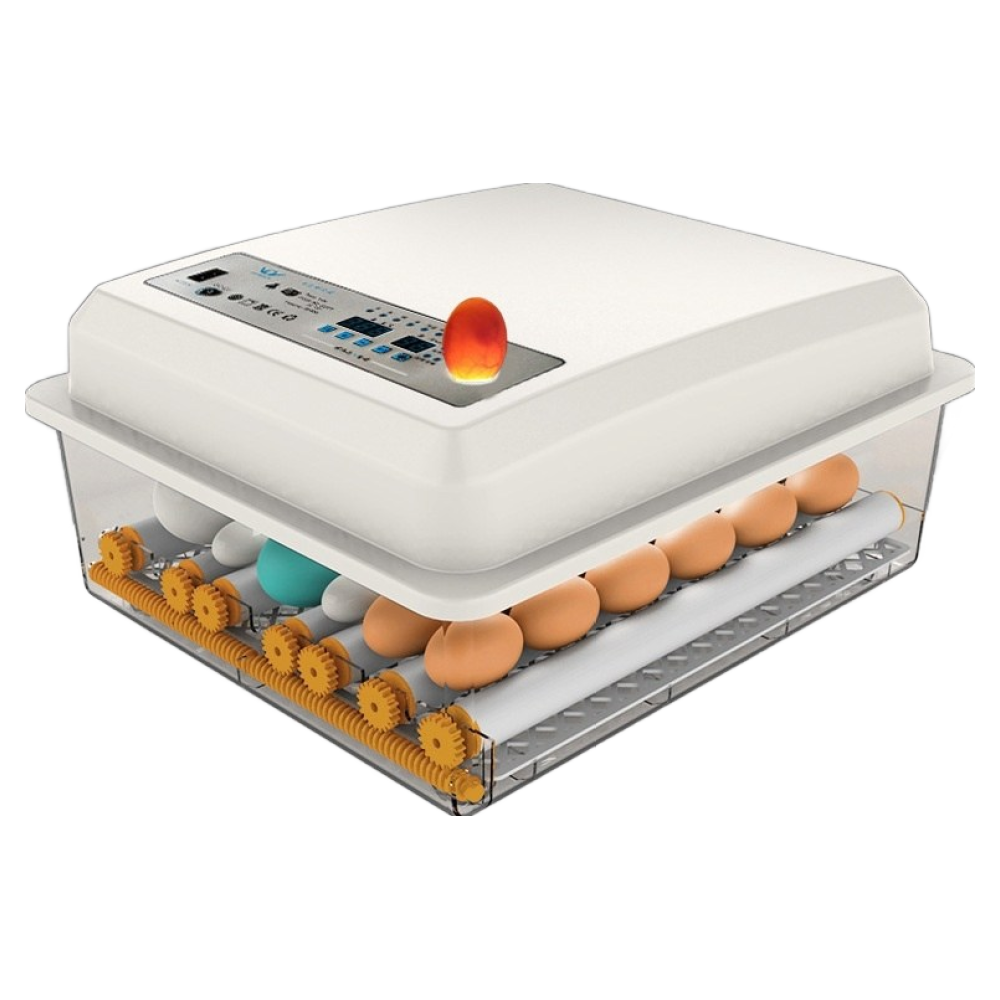 AKRUA 병아리부화기가정용 병아리부화기 계란부화기 자동병아리부화기 병아리자동부화기 계란부화기가정용 달걀부화기 닭 오리 거위 비둘기 부화기, 1개, 화이트 16매 84,600원