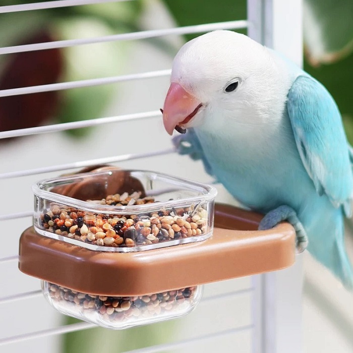 시웨이 앵무새 높이조절 걸이형 급식기 모이통 조류, 1개, 브라운 5,600원