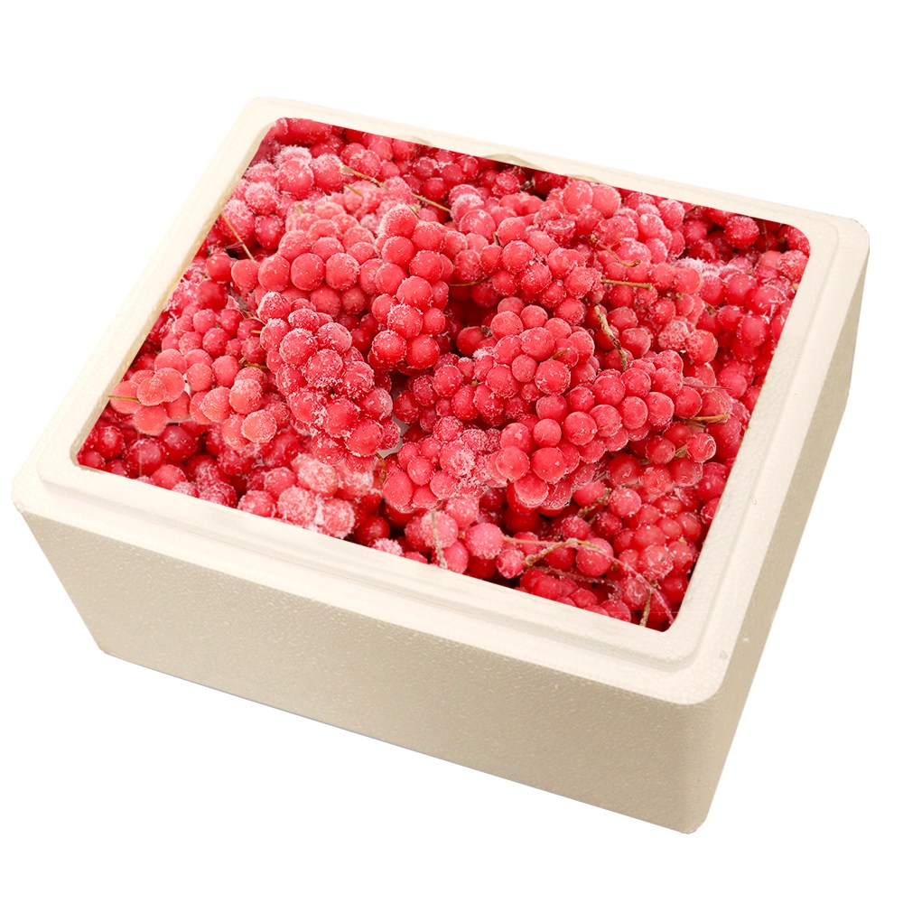 자연닮음 올해수확 최상급 급속냉동 생오미자 생과 4kg 오미자청 당절임용, 1개, 4kg 49,000원