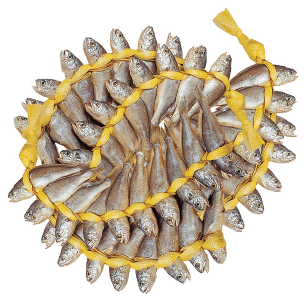 진품명품 영광 법성포 굴비 업소용 대용량 200마리 참조기 봄조기 145,820원