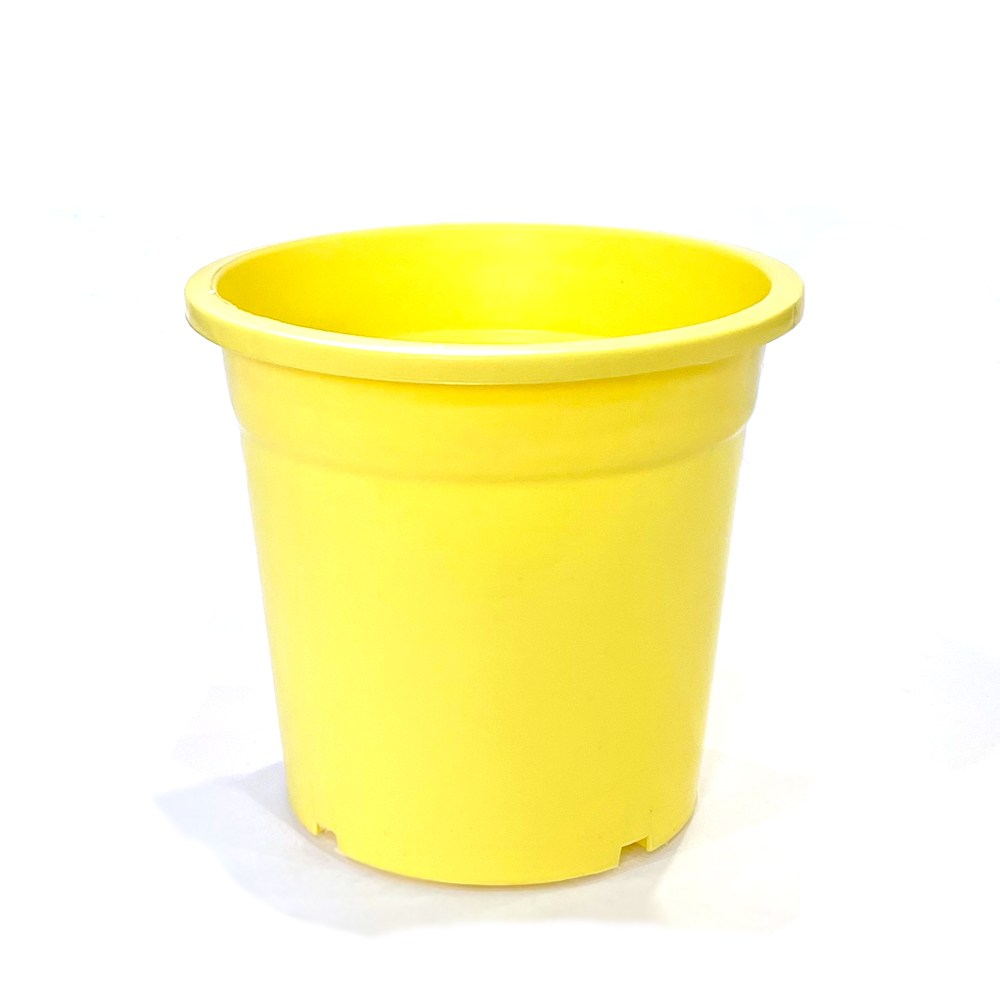 묶음판매 산세분7호(노랑) 40개 플라스틱화분 분갈이 59,400원