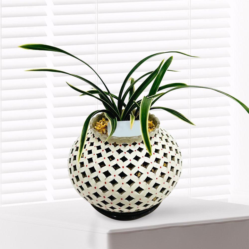 에코플라워 동양란 (이천작품 도자기 분청자 칠보문분 황제) 수도권배송 승진 영전 인사이동 진급 취임 개업 꽃배달 g-0101, 1개 237,500원