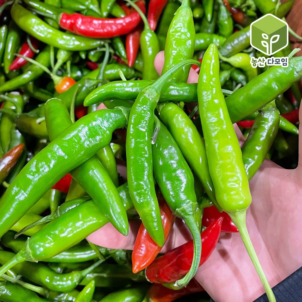 국내산 청양고추 반홍청양고추 5kg 46,500원