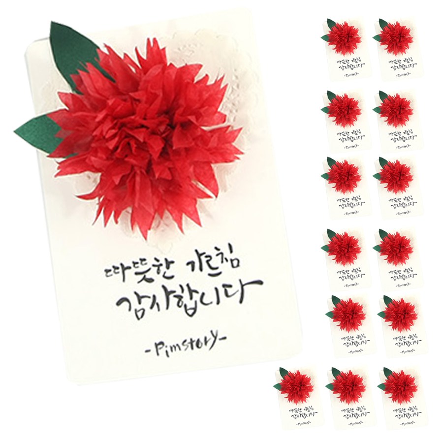 카네이션카드 만들기 세트 화이트카드+레드 DIY 스승의날 어버이날 미술수업 감사카드, 14개입 16,200원