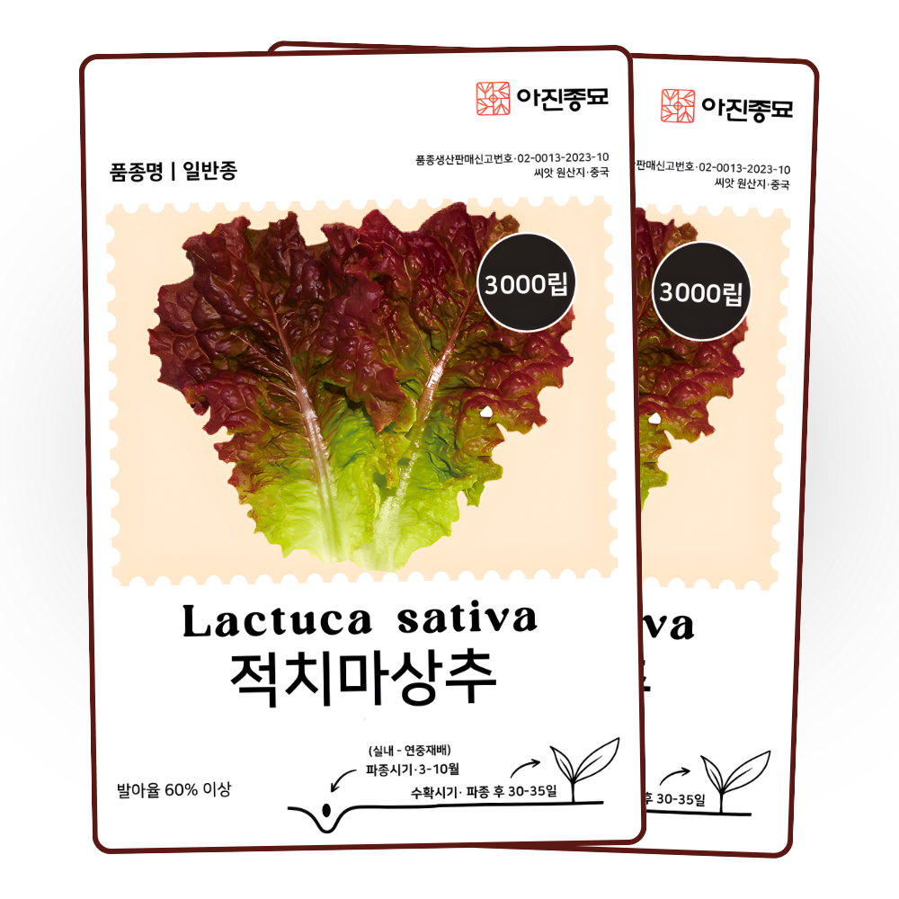 [주주씨앗] 적치마상추 씨앗 3000립 / 가정재배 인기 쌈채소 상추 종자, 2개 4,000원