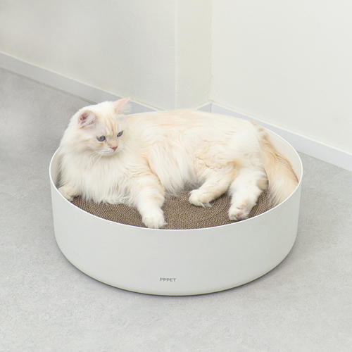 펫펫펫 고양이 스크래쳐 원형, 1개 38,400원