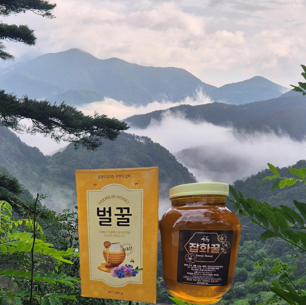 지리산의 선물 산청 청정골 잡화꿀 2.4kg, 2.4kg, 1개 49,430원