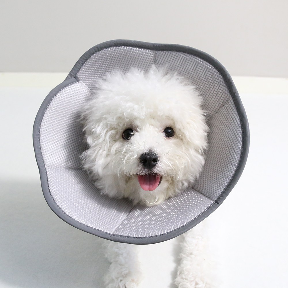 드림계곡 반려동물 강아지 고양이 통기성 메쉬 넥카라, 1개, 그레이 14,900원