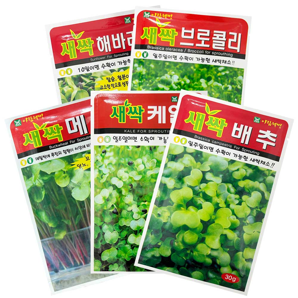 새싹씨앗 모음 20종 새싹채소 새싹키우기, 1개 5,300원