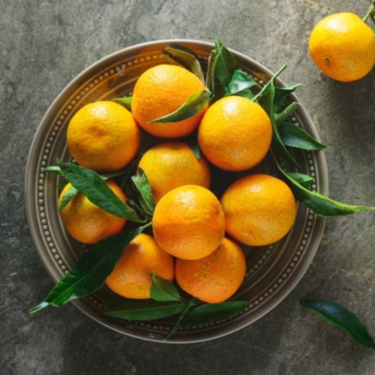 제주도 햇 조생 노지 감귤 10kg (당일배송) 21,900원