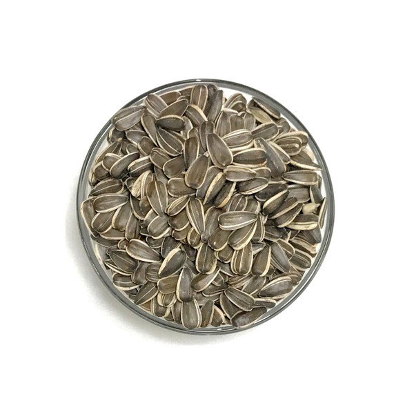 앵무새 간식 물세척 청결한 대형 해바라기씨 퀘이커 카이큐 아마존 뉴기니아 회색앵무, 1개, 1kg 12,000원