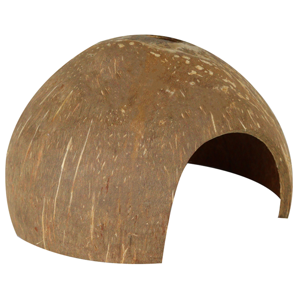 모비딕 코코넛 은신처 3,000원