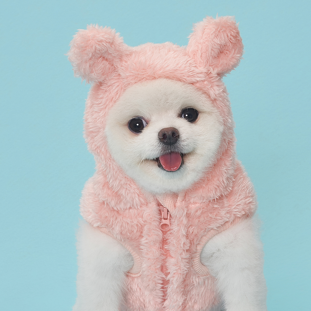 도그아이 반려동물 곰 후드 베스트 8,900원