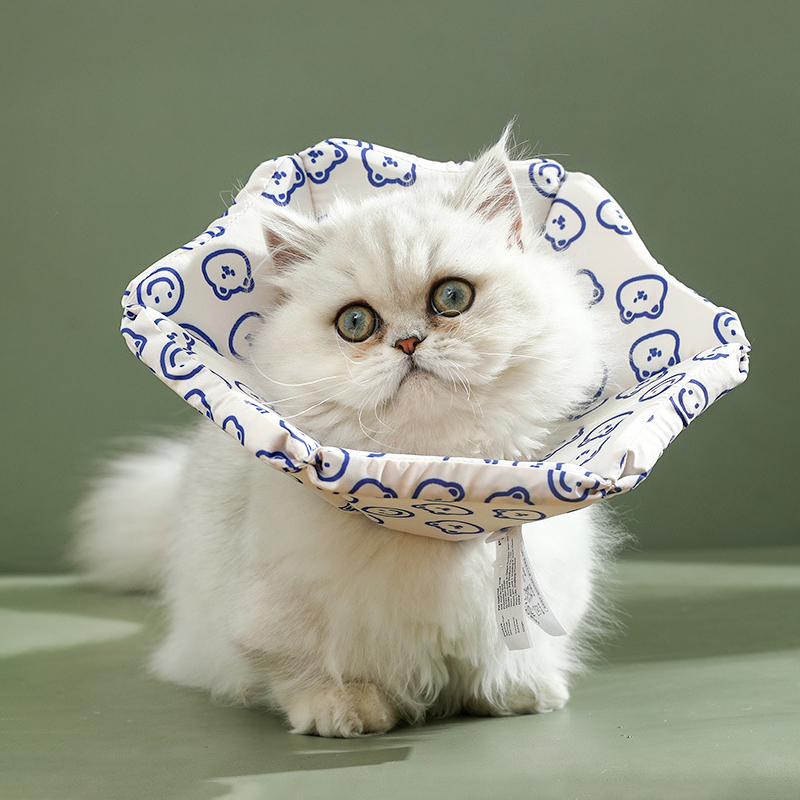 파스텔펫 반려동물 패턴 웨이브 넥카라, 블루, 1개 14,800원