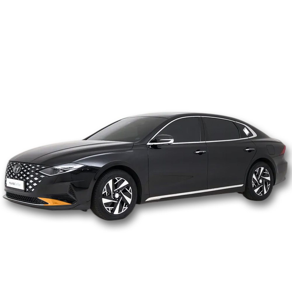 스킨엑스 더 뉴 그랜저 IG (16) 프론트 하단 크롬 PPF 차량보호필름, 1개 20,000원