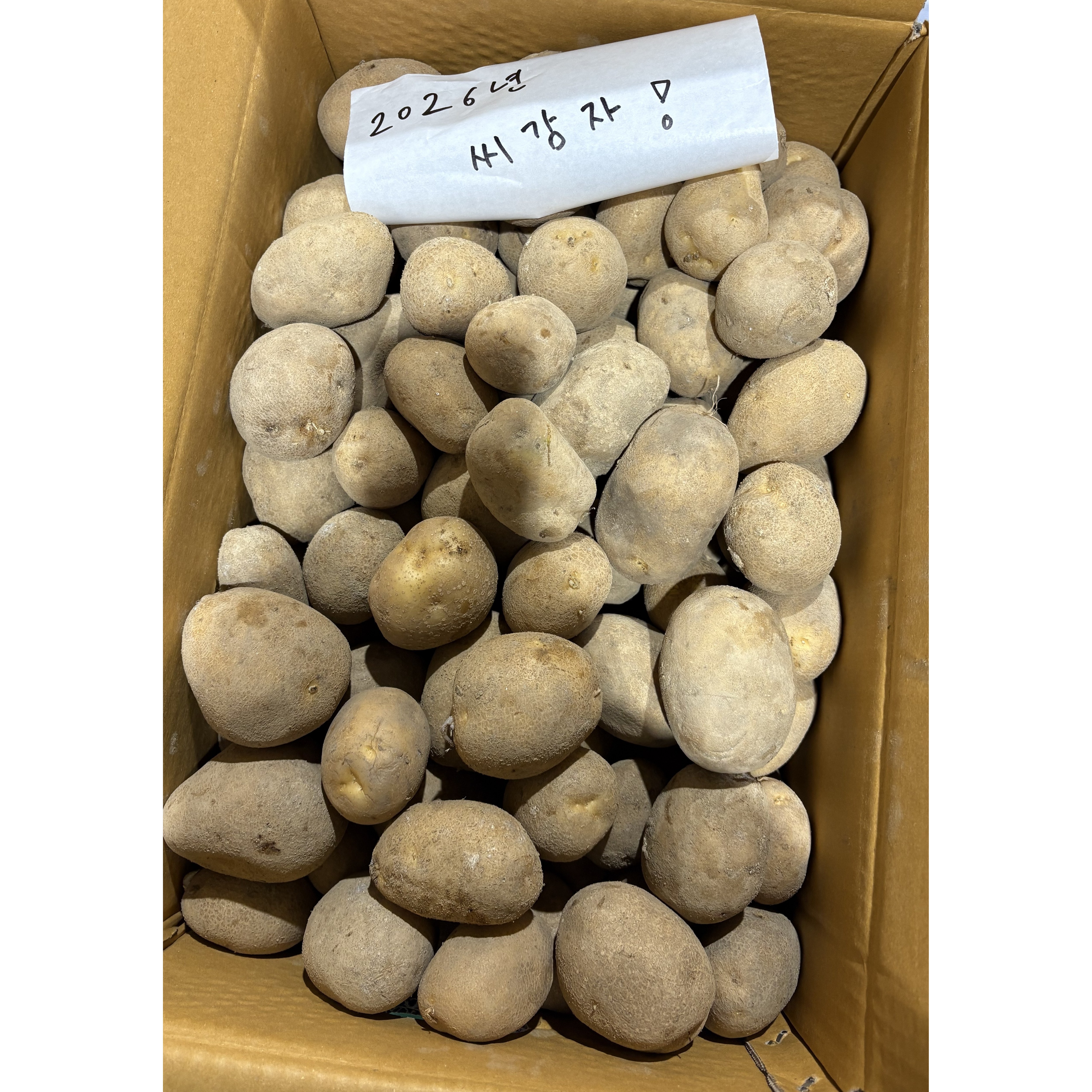 강원도 두백씨감자 20kg 국산 고전분 저장용 감자 파종 54,900원