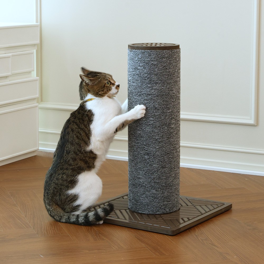 펫토리아 GP 고양이 카펫 수직 캣 스크래쳐 58cm 고강도 친환경 고무나무 CARB2/FSC 인증 56,900원