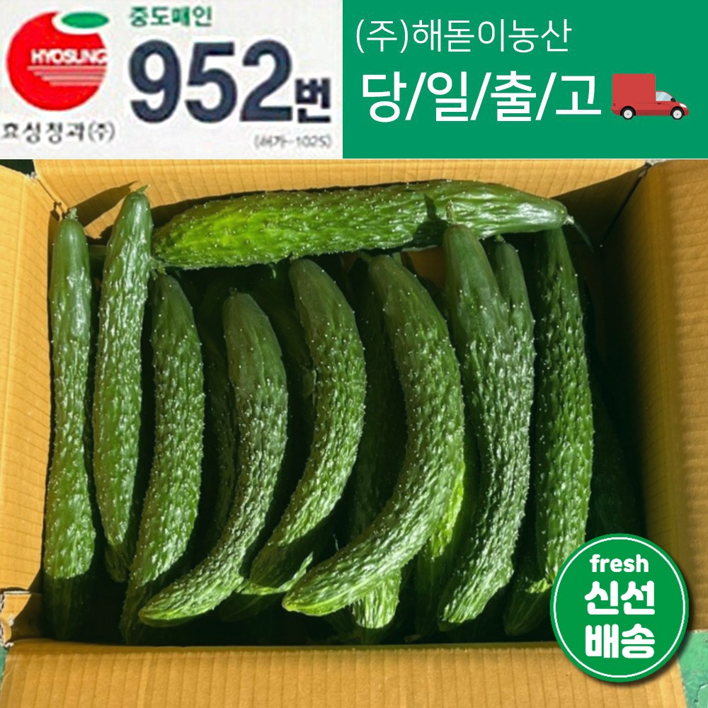해돋이농산 국내산 오이 가시오이 청오이 못난이오이 3kg 5kg 10kg(상세페이지꼭참고하시기바랍니다) 10,500원