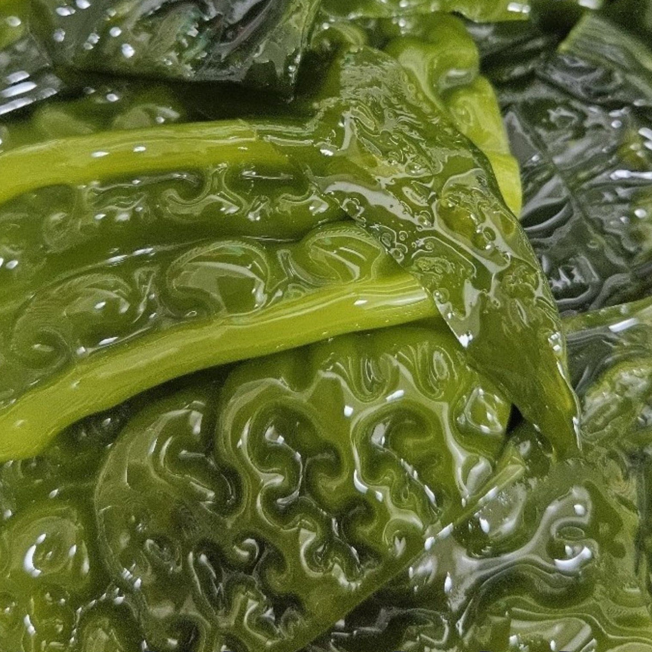 완도 햇곰피 제철 쌈용 생곰피미역 생물 당일발송 1kg 지아수산 36,930원