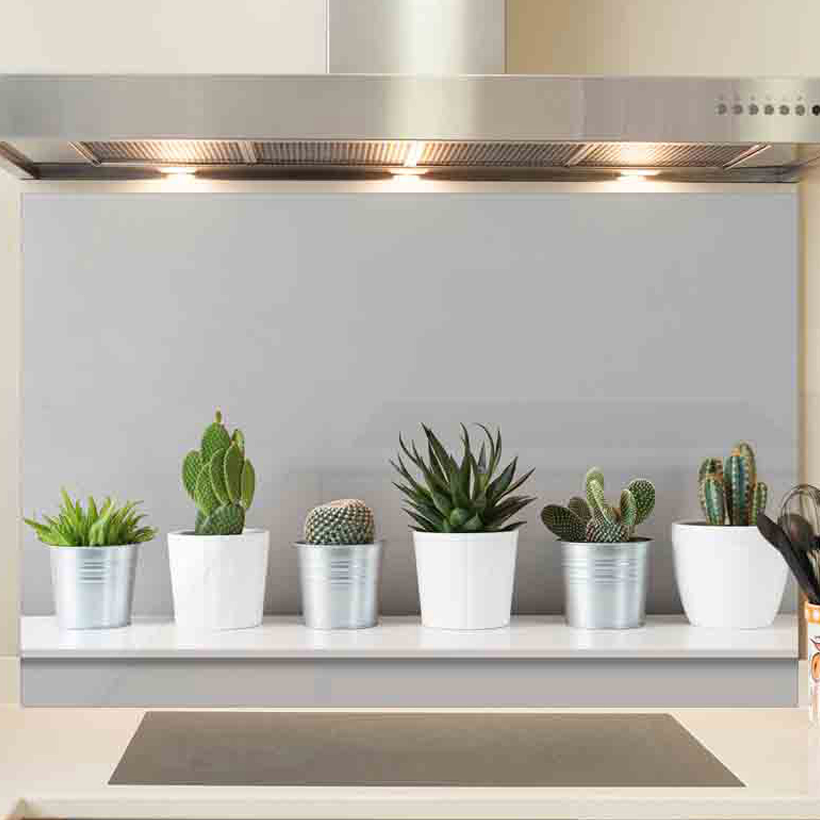 코나주방아트보드 선인장 정원, 1개 37,380원