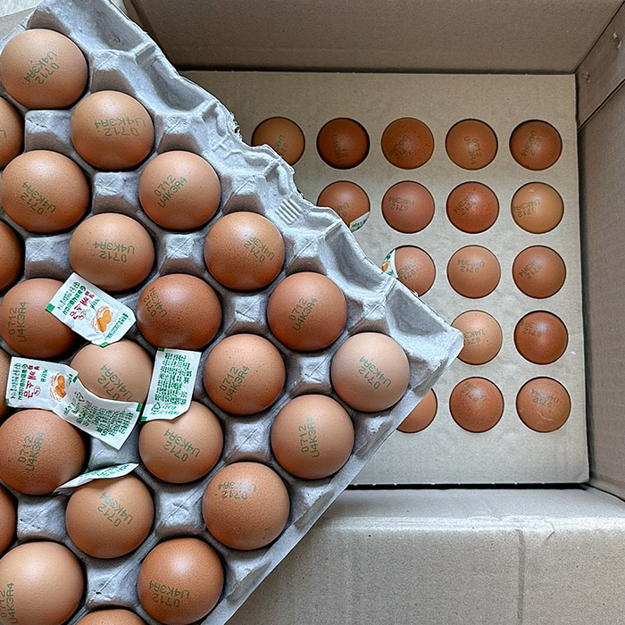 훈제란 맥반석 계란 당일구운 구운란 신선한 계란 30구X4 58,480원