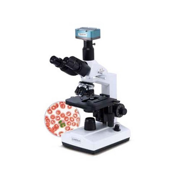 멀티영상생물현미경(쌍안PC용).연구용, 1개 3,605,000원