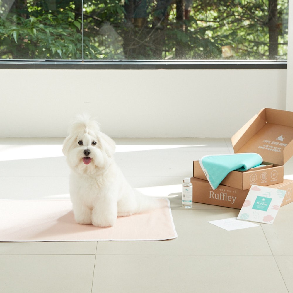 루플리 에코패드 (중형 M) 빨아쓰는 배변패드 강아지 배변판 항균 탈취 방수 논슬립 115,000원