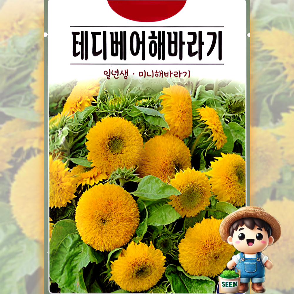 테디베어해바라기 20립 미니해바라기 꽃씨 씨앗 종자 3,000원