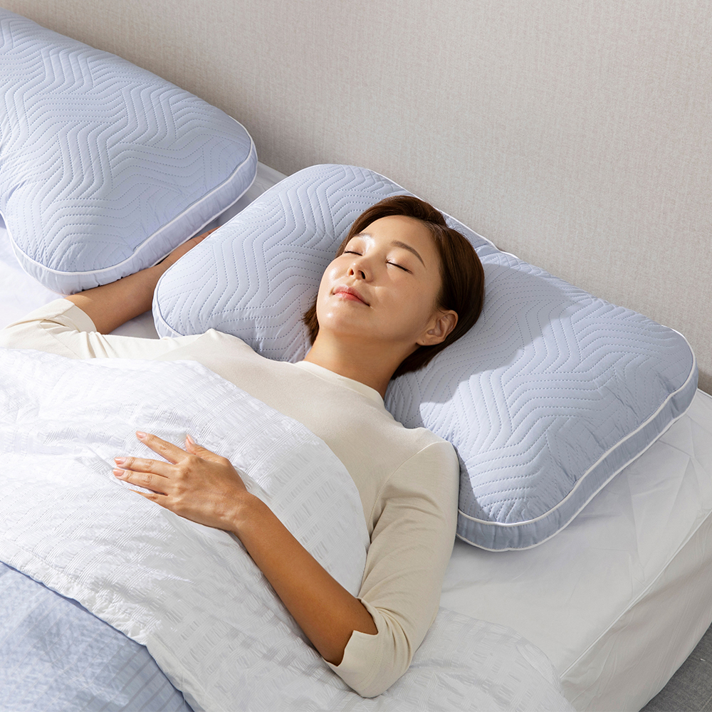 기절베개 기능성 알러지케어 일체형 어깨편한 베개, 블루그레이, 1개 29,900원