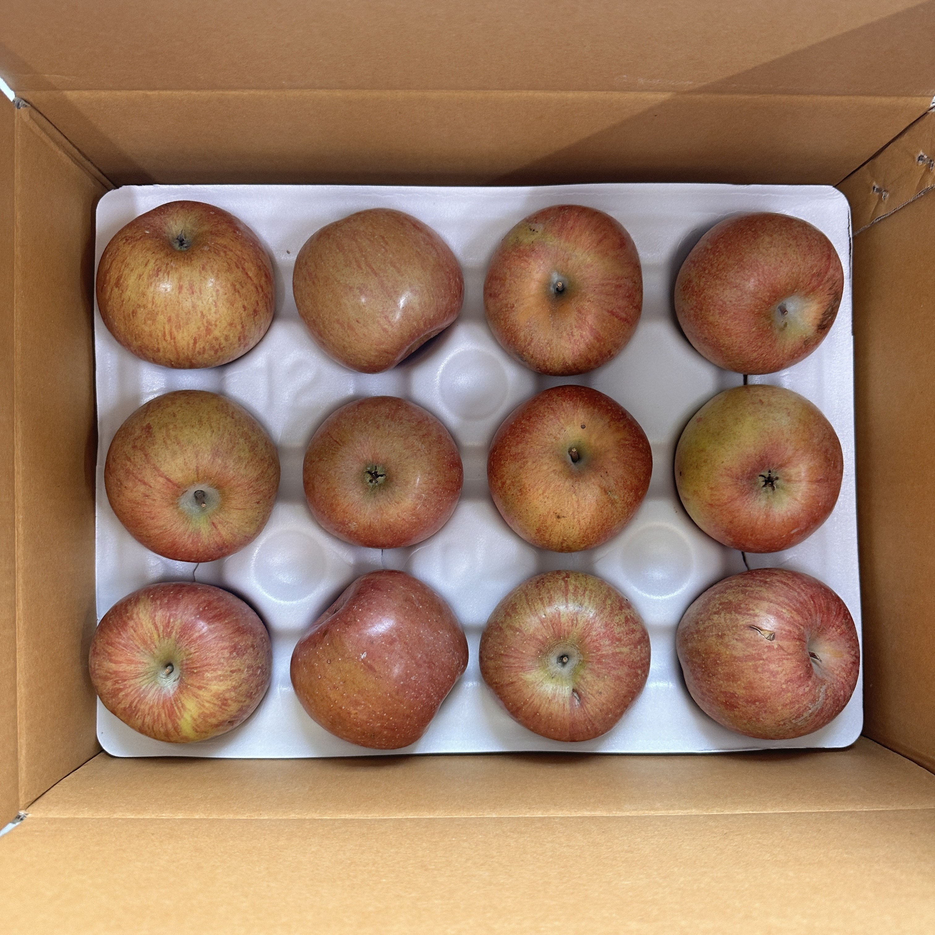 [주영마켓] 실속형 산지직송 꿀당도 가정용 부사사과, 1개 54,900원