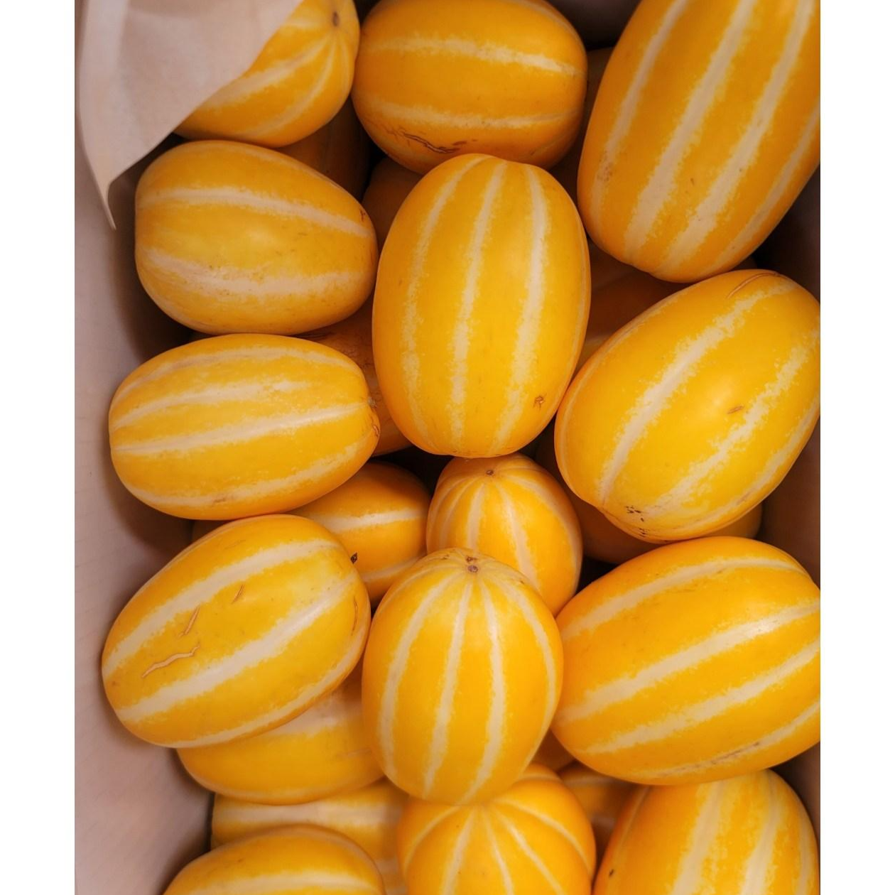 [첫수확 특가] 산지직송 가정용 고당도 성주 참외 랜덤 5kg, 1박스 47,700원