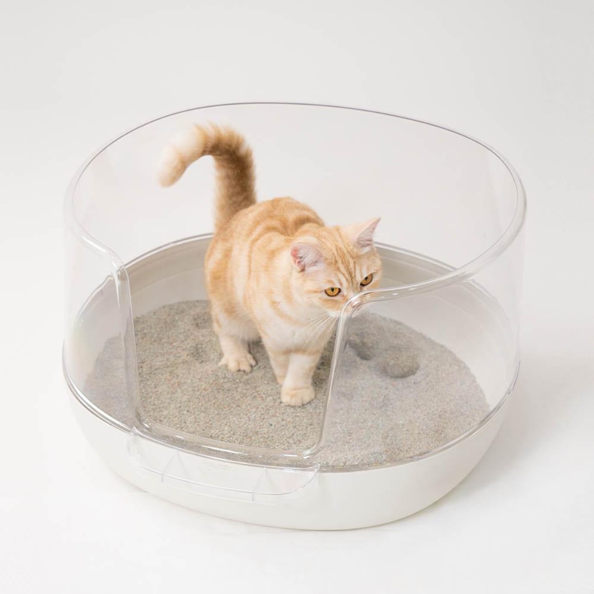 [무료배송] 냥쌤 투명화장실 2개 세트 (화이트+그린) 108,000원