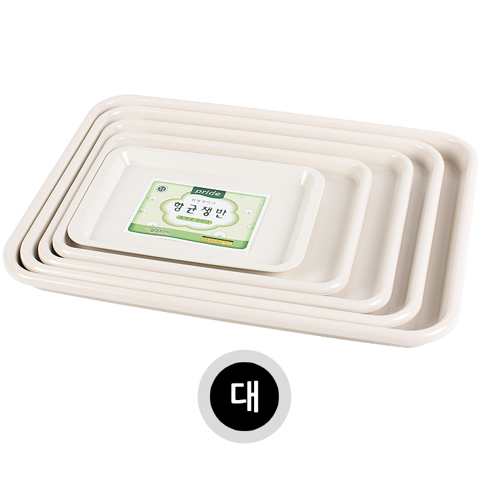 에이스 쟁반, 프라이드항균쟁반(대), 1개 4,400원